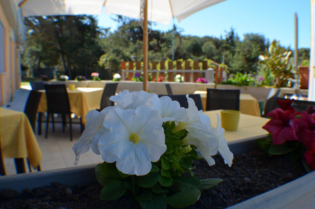 Hotel Paradiso Verde Marina Di Bibbona Εξωτερικό φωτογραφία