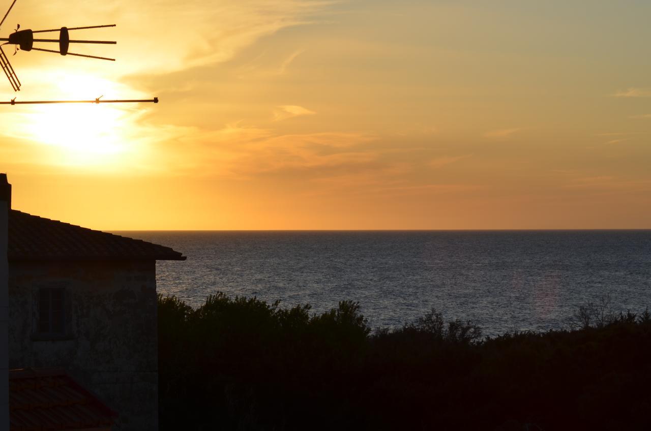 Hotel Paradiso Verde Marina Di Bibbona Εξωτερικό φωτογραφία